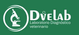 Logo con fondo verde #23794e