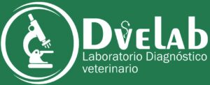 Logo con fondo verde #23794e reducido